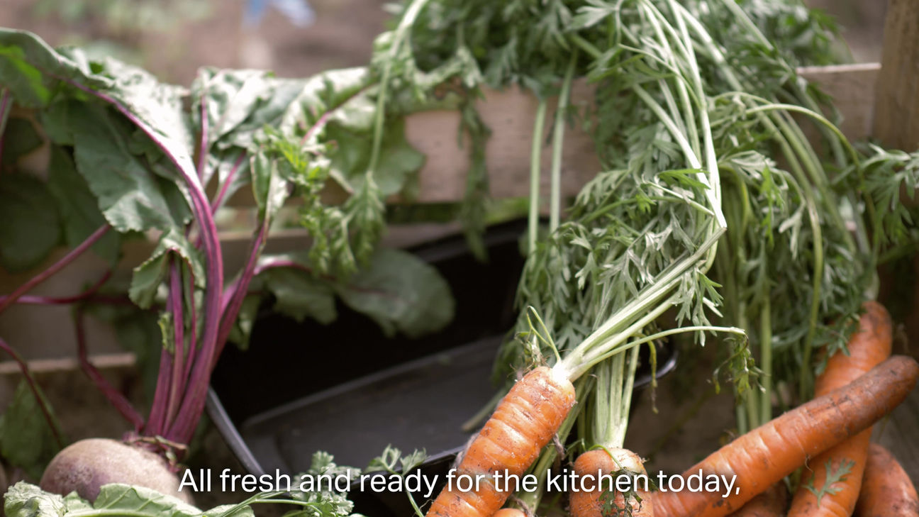 Food Week at Sanctuary